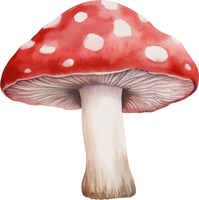 Watercolor Red & White Toadstool Illustration